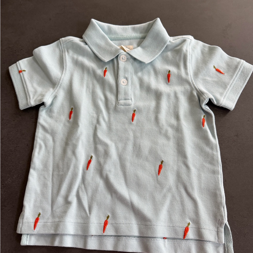 Light Blue Kids Polo With Carrot Embroidery
